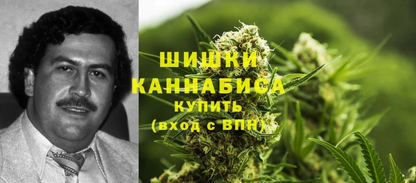 прущие грибы Вяземский