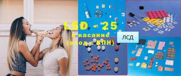 прущие грибы Вяземский