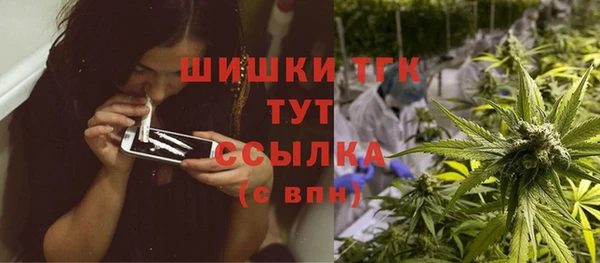 прущие грибы Вяземский