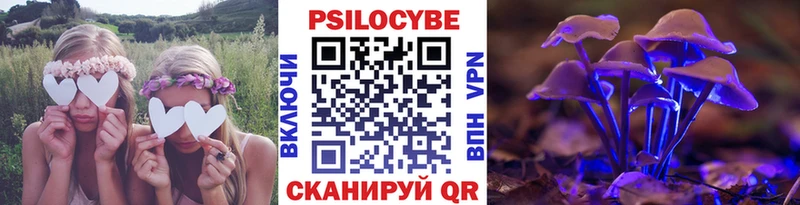 хочу   Мариинск  OMG рабочий сайт  Псилоцибиновые грибы MAGIC MUSHROOMS 