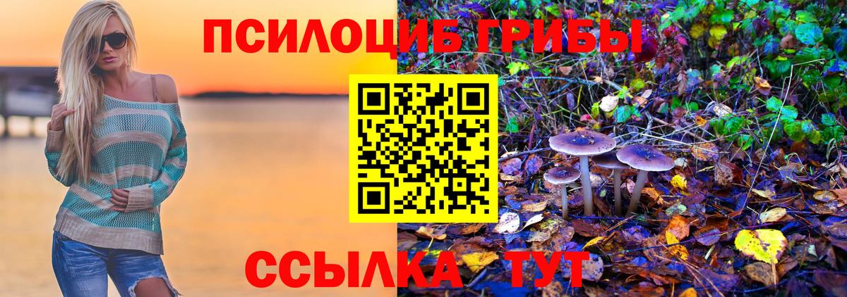 Псилоцибиновые грибы GOLDEN TEACHER Мариинск