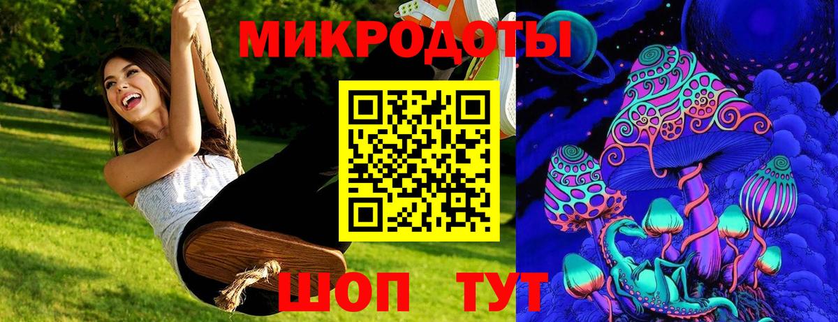 Галлюциногенные грибы Psilocybe Мариинск