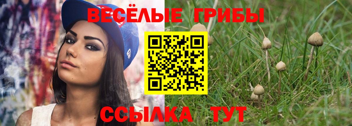 где можно купить наркотик  Псилоцибиновые грибы Magic Shrooms  Мариинск  Псилоцибиновые грибы Cubensis 